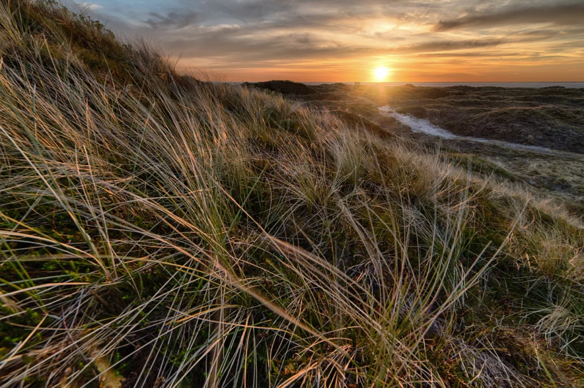 Po co komu prawnik? Czyli krótko o usługach prawniczych w Polsce