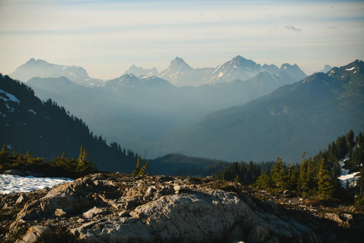 Kancelaria adwokacka w Katowicach