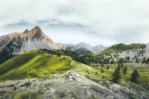 Kiedy zrobić imprezę i na co zwrócić uwagę?